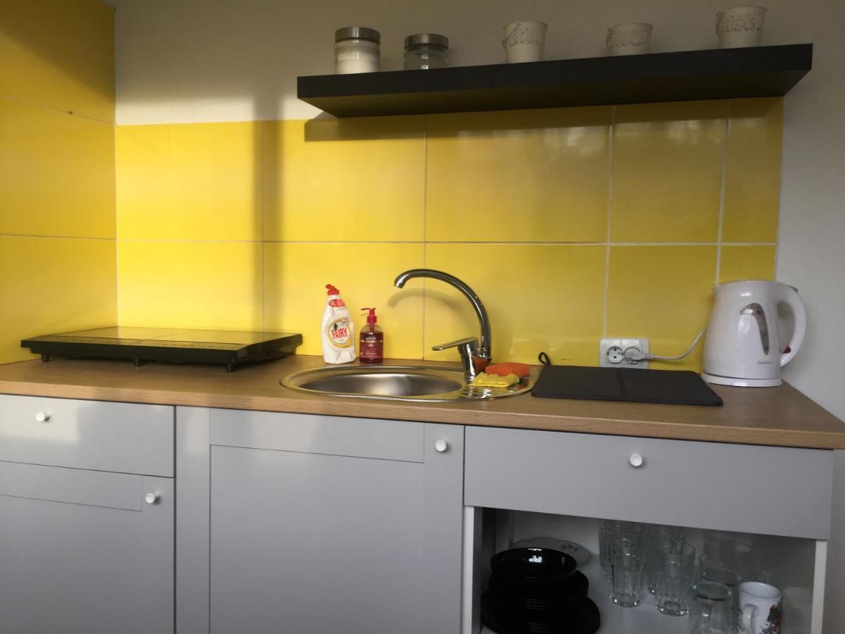 Apartamenti Zirnis Cēsis Kültér fotó